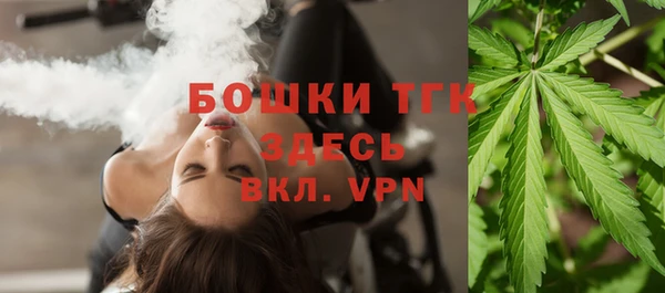 спайс Богородицк