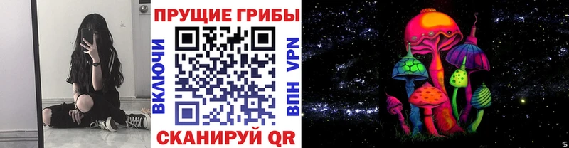 Псилоцибиновые грибы мухоморы  omg маркетплейс  Улан-Удэ 